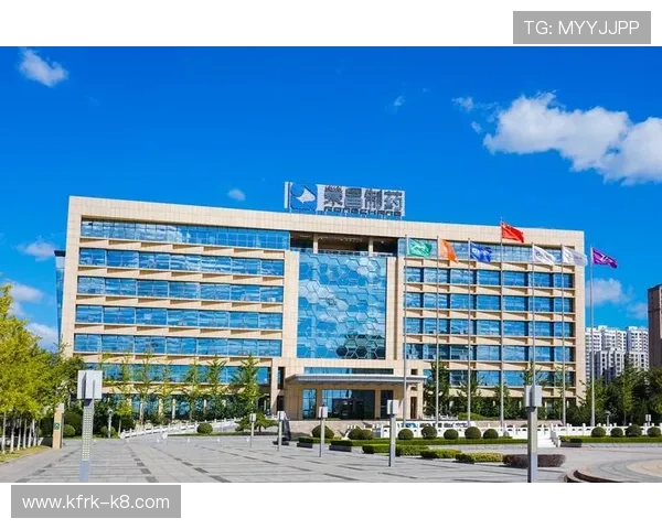 凯发集团官网首页网址官方入口链接,提供最全面的访问指南确保用户顺畅登录